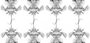 "erotic wall 1" pattern